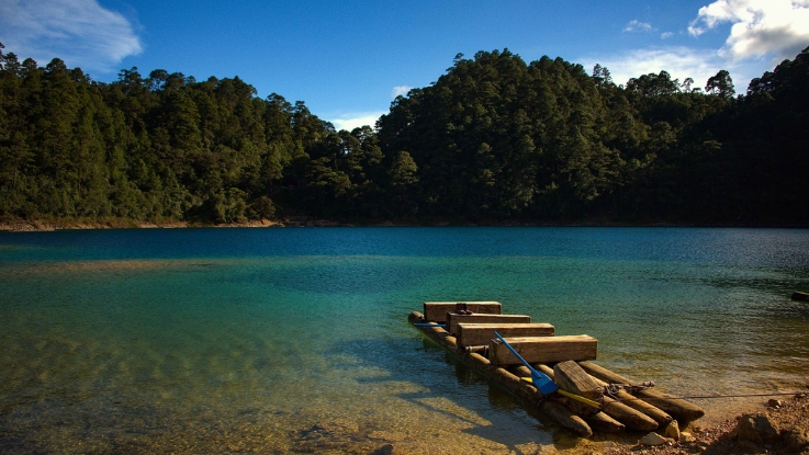 Chiapas_Palenque_y_Yaxchilan_7_Dias_2025